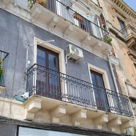 Homeby, Bellini Katania